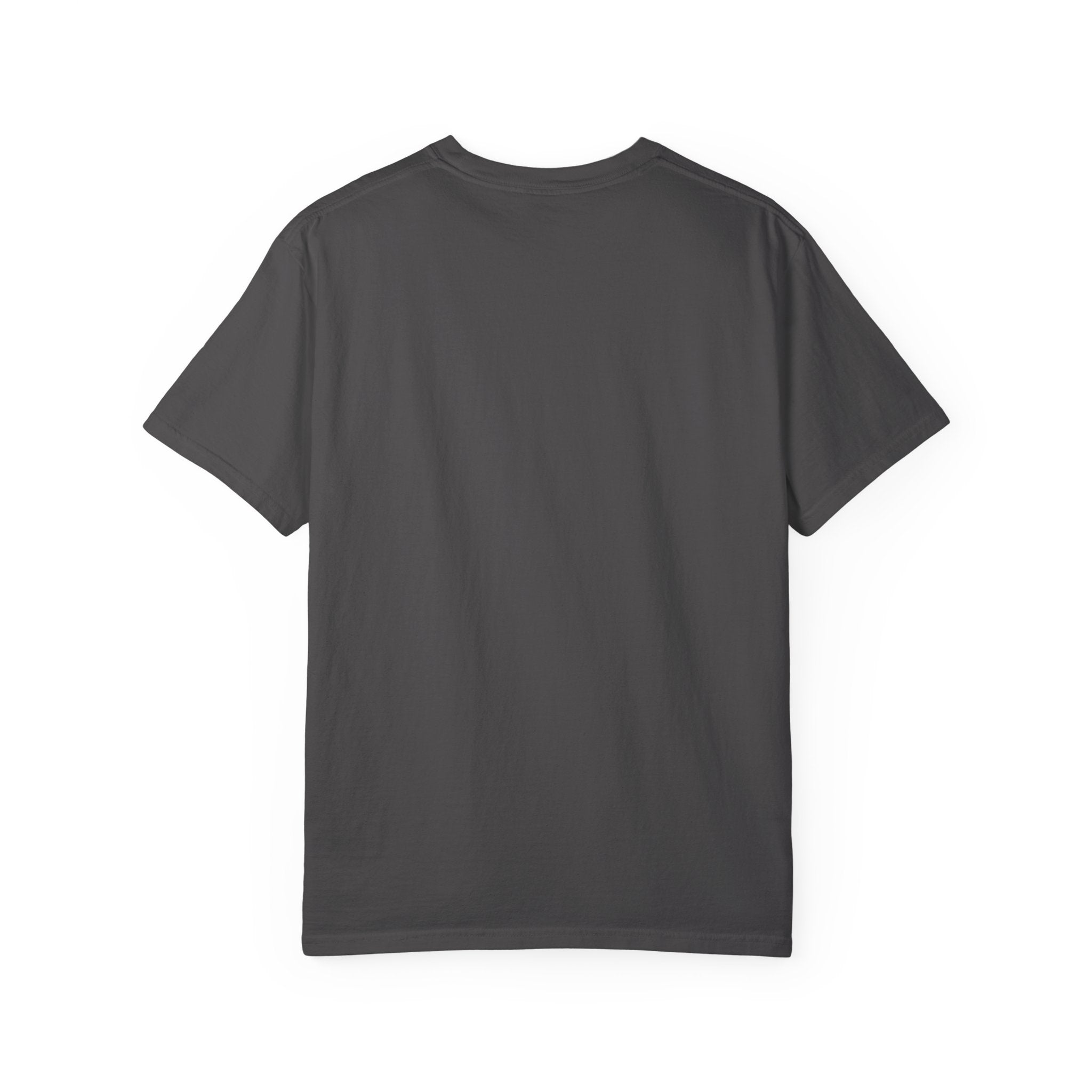 Illegal Is a Policy. Human Is a Fact Graphic T-shirt